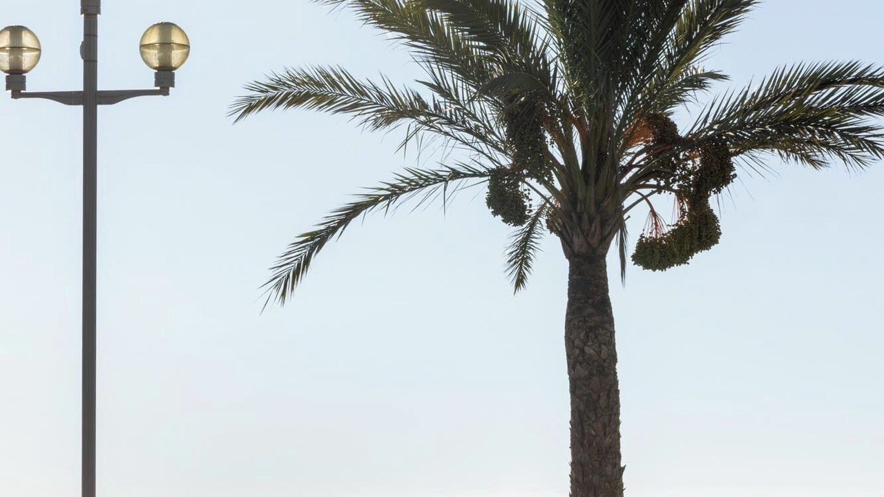 Photo of Others in Les Baumettes