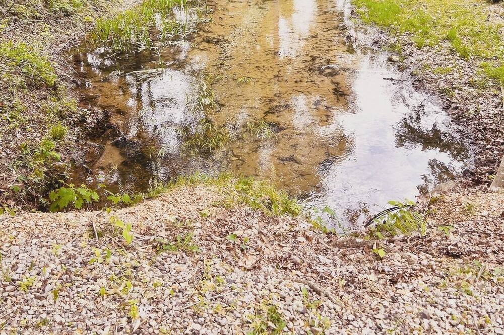 Photo of Outdoor in Piedmont
