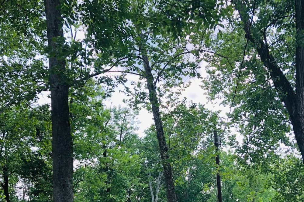 Photo of Outdoor in Piedmont