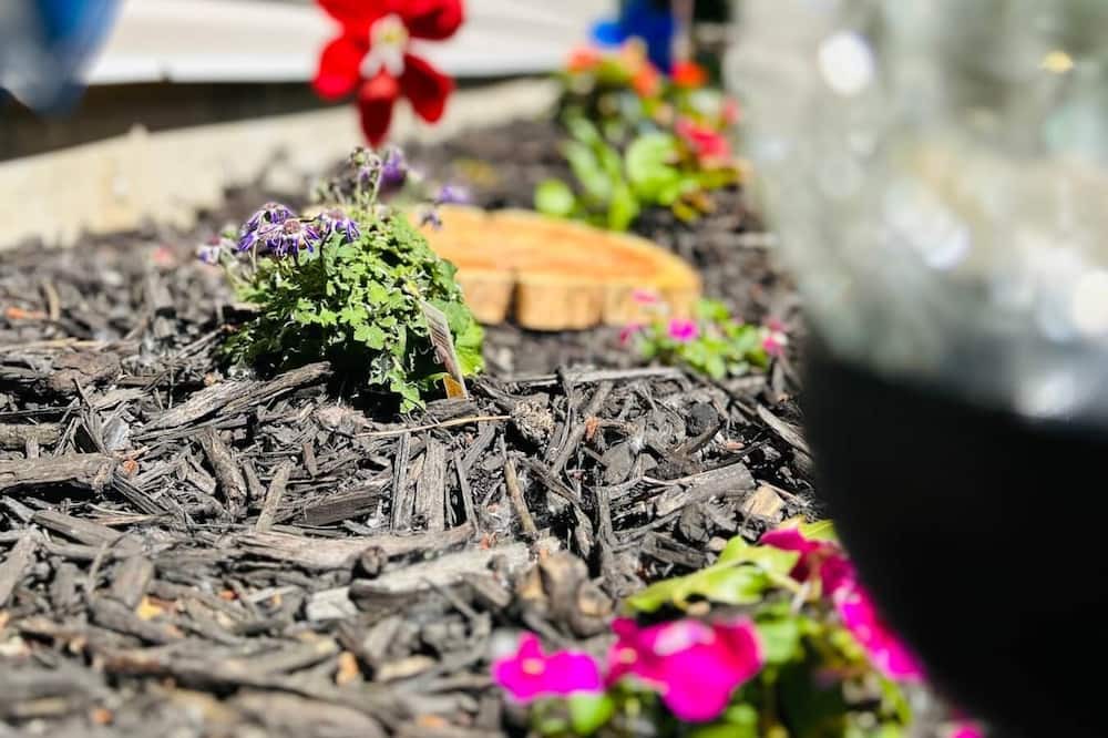 Photo of Outdoor in Piedmont