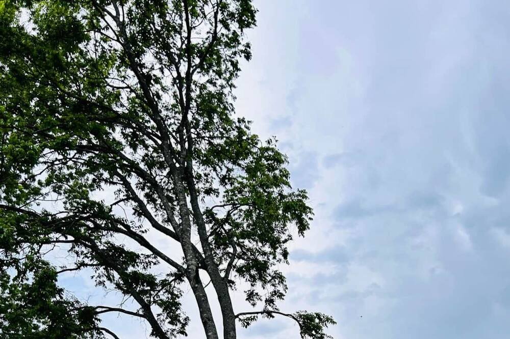 Photo of Outdoor in Piedmont