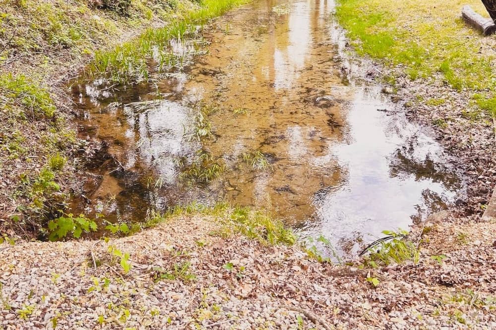 Photo of Outdoor in Piedmont