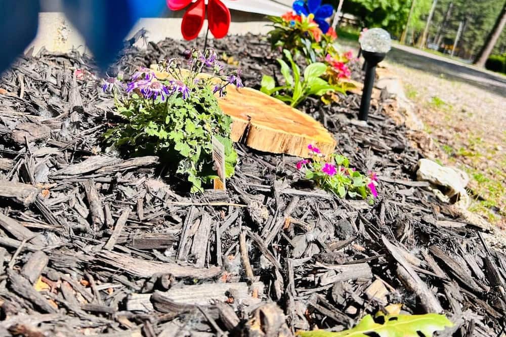 Photo of Outdoor in Piedmont