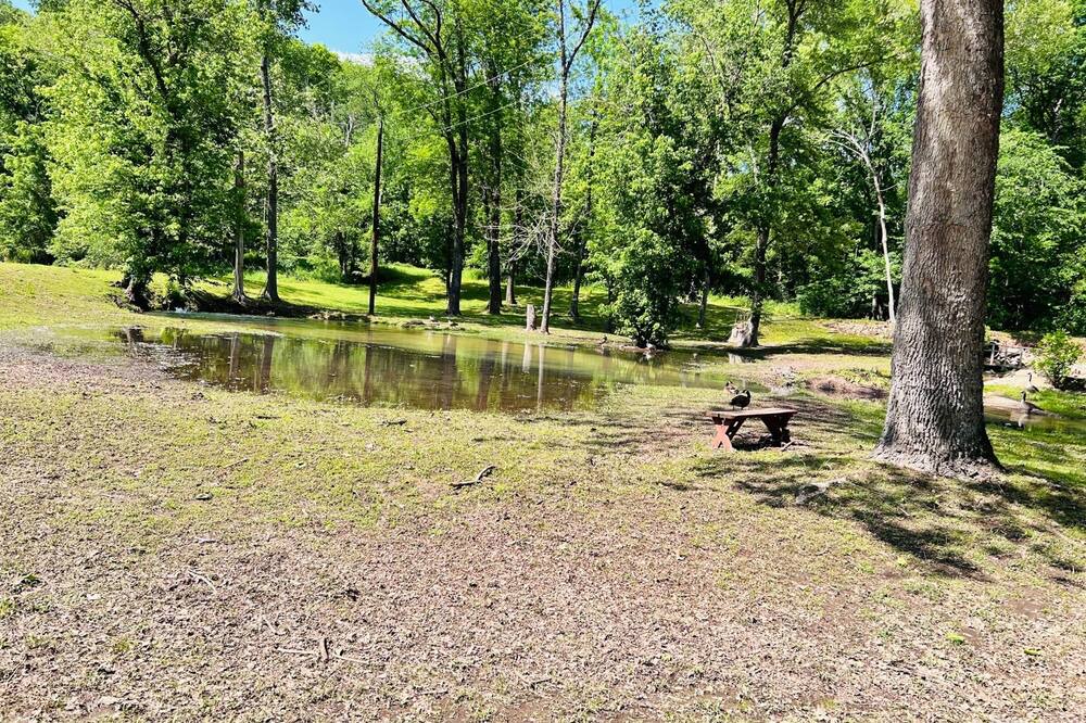 Photo of Outdoor in Piedmont