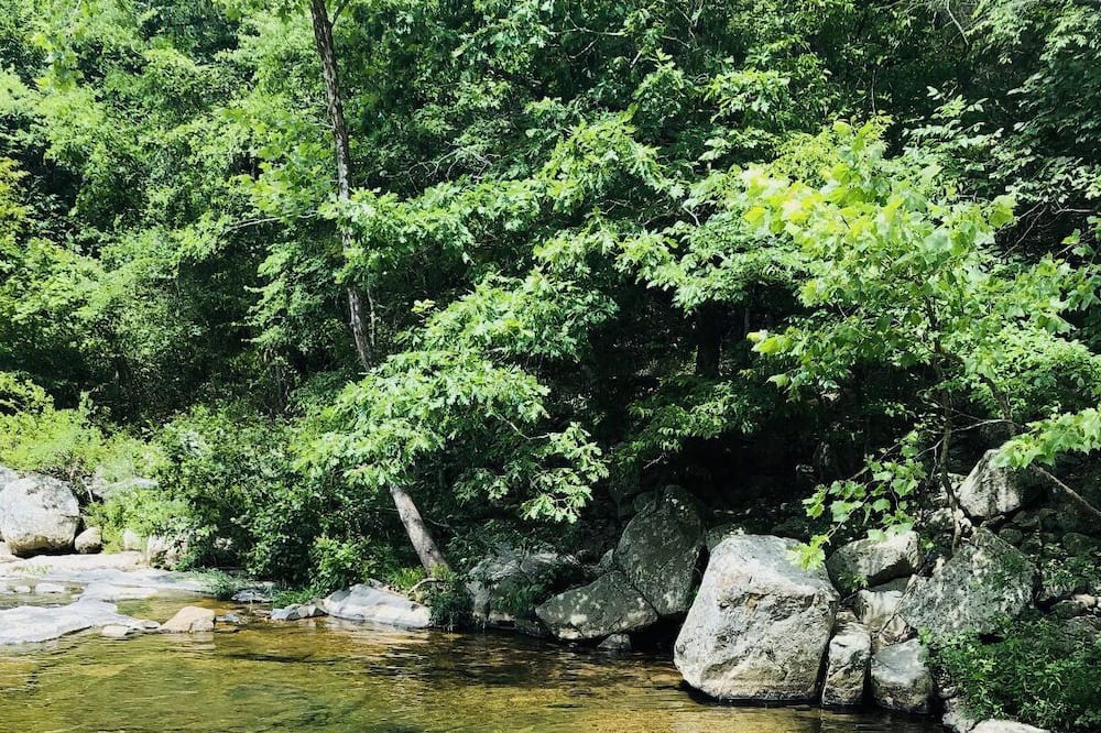 Photo of Others in Piedmont