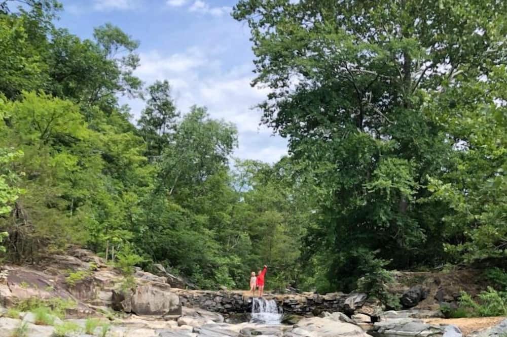 Photo of Others in Piedmont