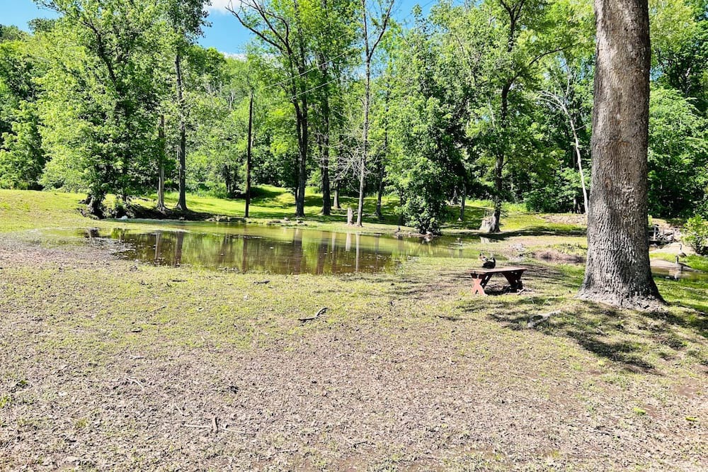 Photo of Outdoor in Piedmont