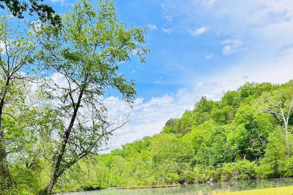 Photo of Outdoor in Piedmont