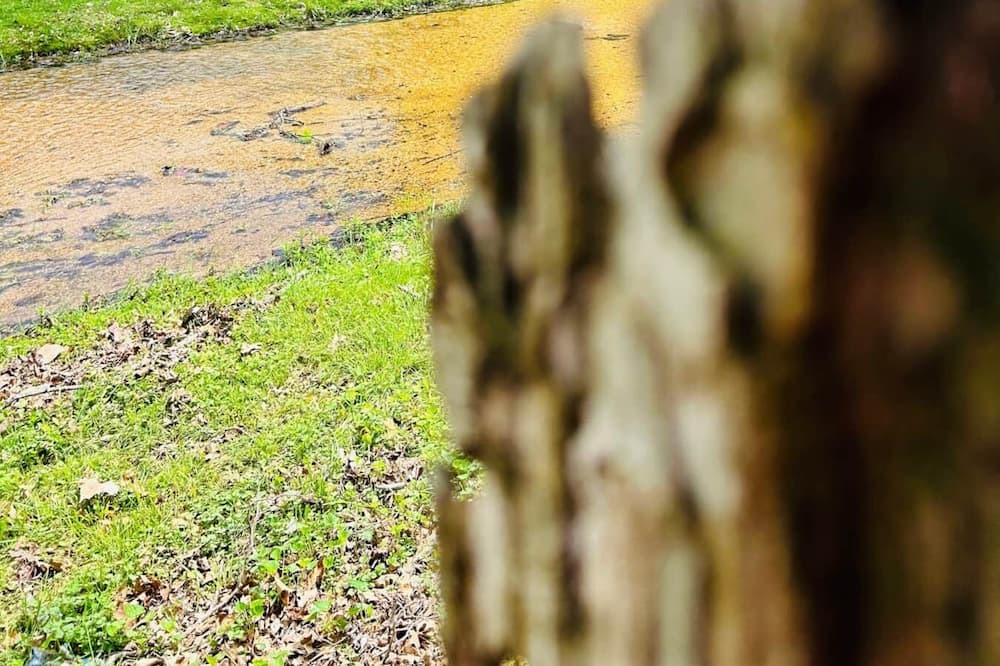 Photo of Outdoor in Piedmont