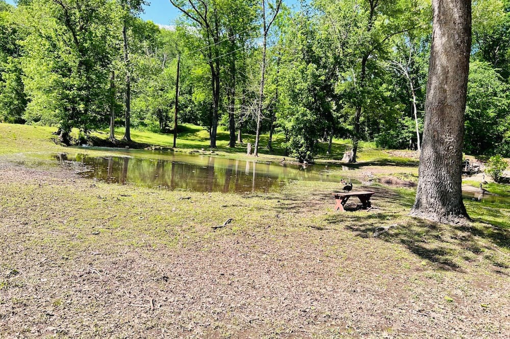 Photo of Outdoor in Piedmont