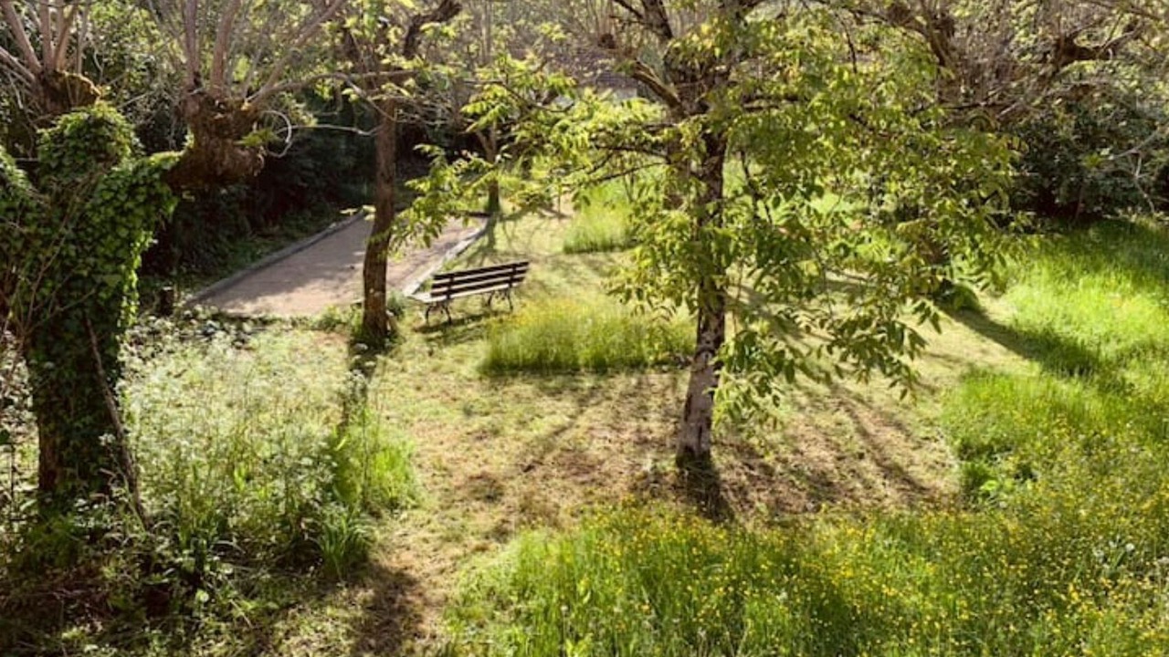 Photo of Outdoor in Saint-Antonin Noble Val