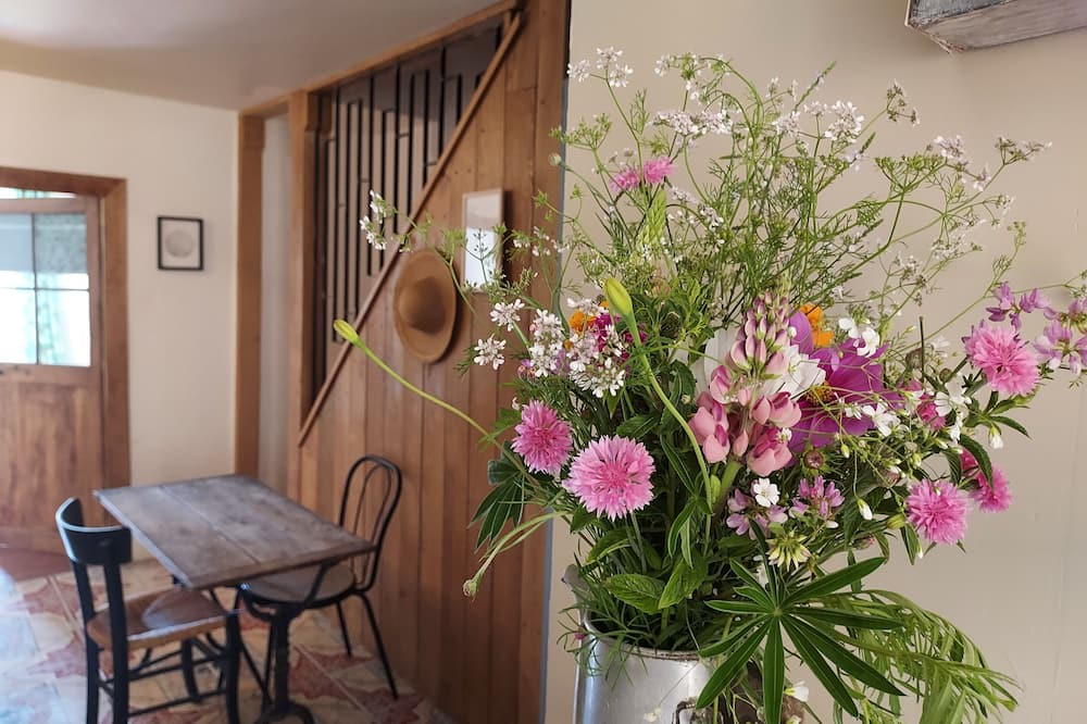 Photo of Others in Saint-Sauveur-en-Puisaye