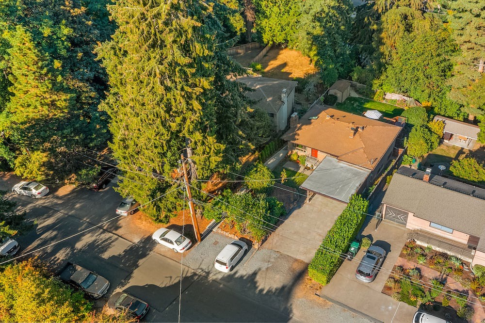 Photo of Outdoor in Olympic Hills