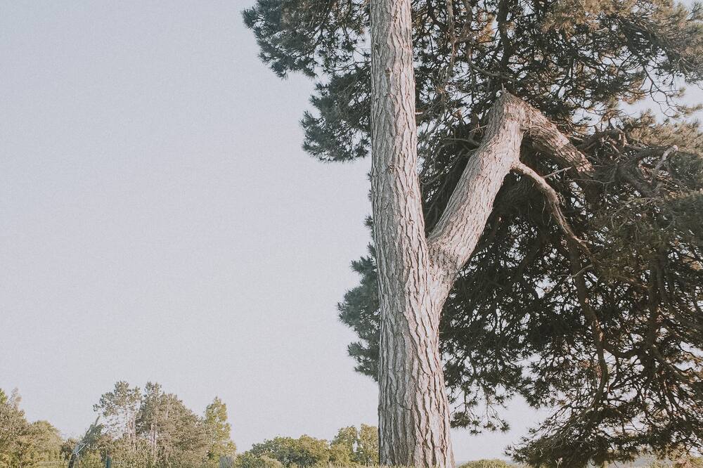 Photo of Outdoor in Bordeaux-Saint-Clair