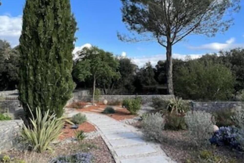 Photo of Outdoor in Cazevieille