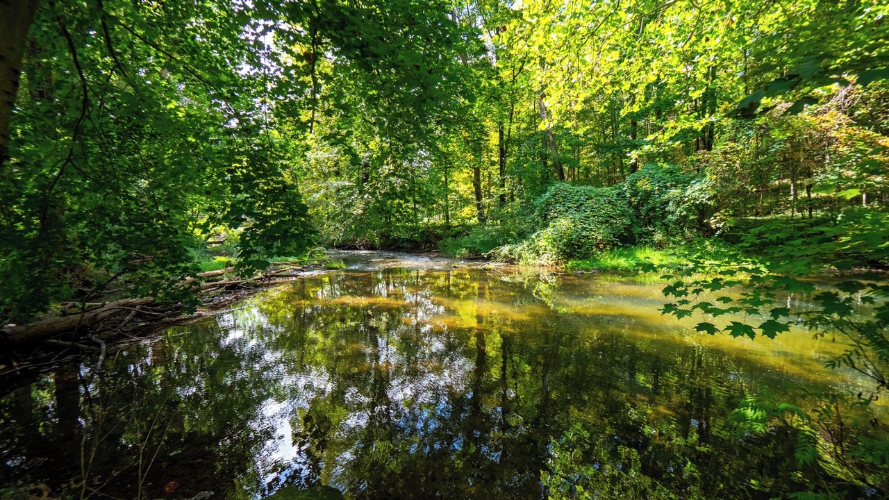 Photo of Outdoor in Hillsdale