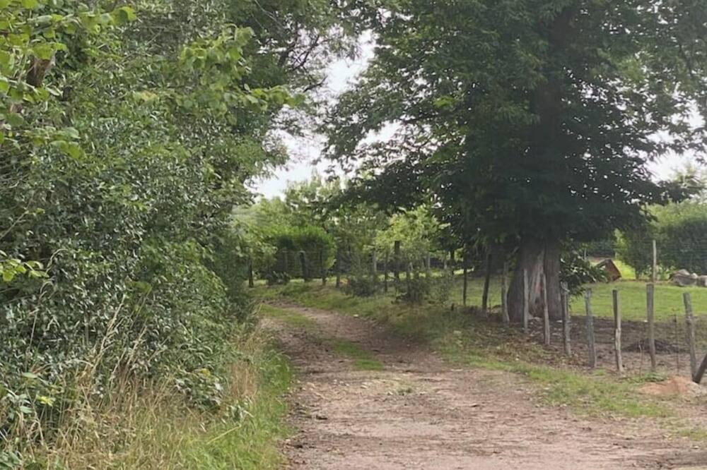 Photo of Outdoor in Brassy