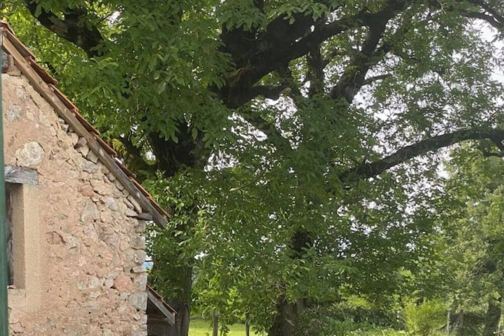 Photo of Patio Balcony in Brassy