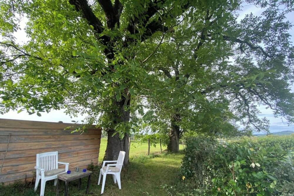 Photo of Outdoor in Brassy