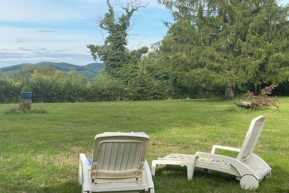 Photo of Outdoor in Brassy