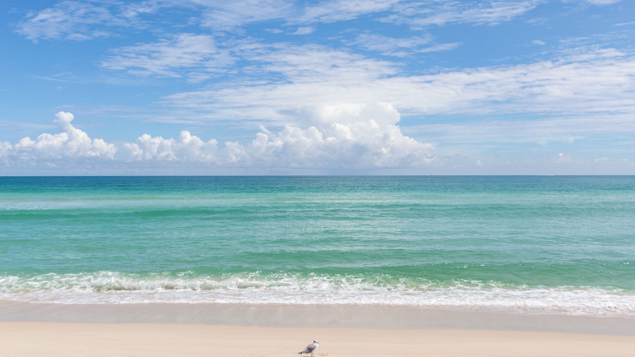 Photo of Outdoor in Mid Beach