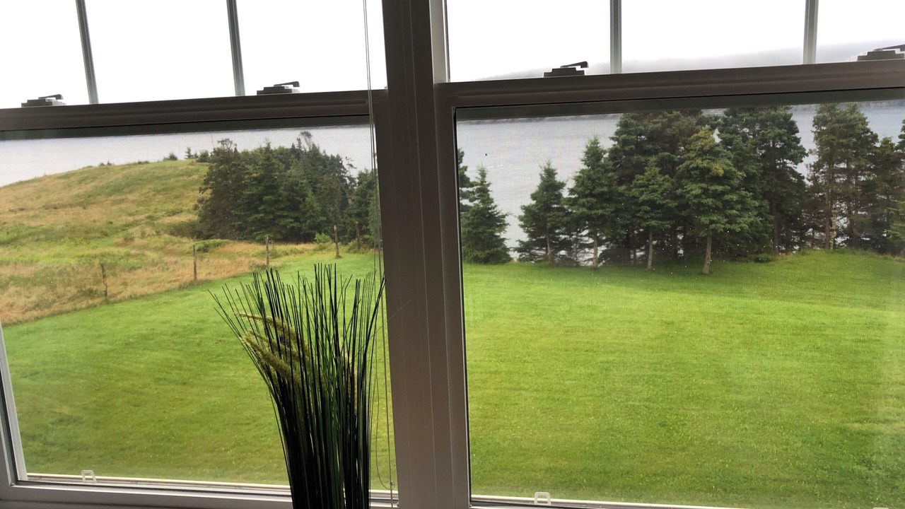 Photo of Outdoor in Bay Bulls