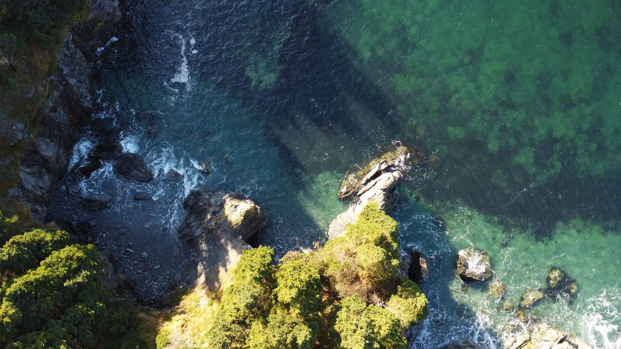 Photo of Others in Bay Bulls