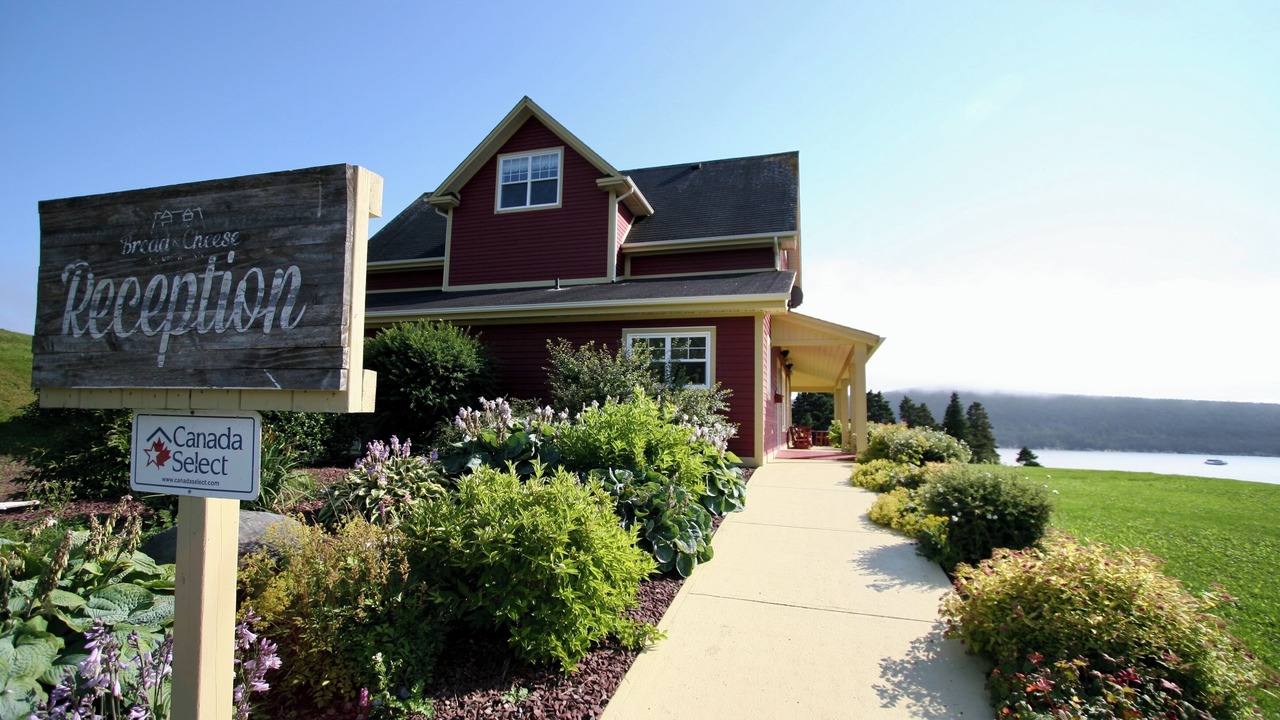 Photo of Others in Bay Bulls