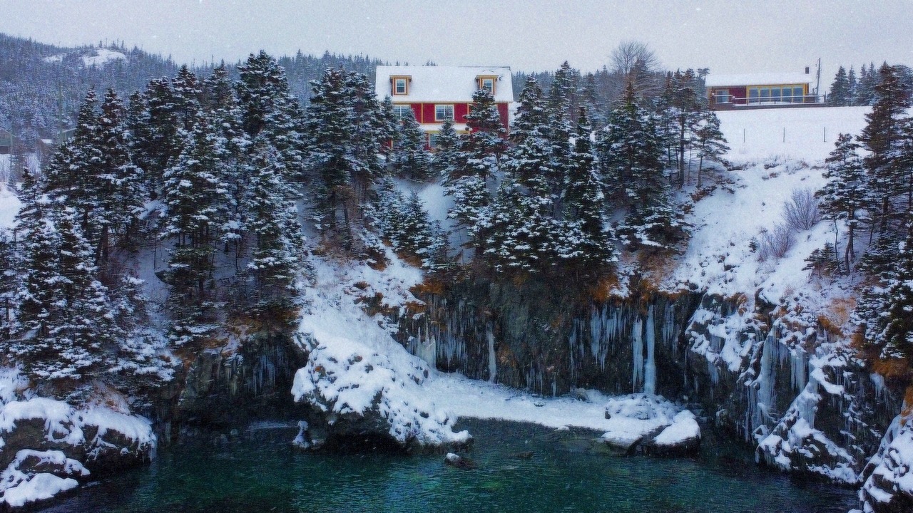 Photo of Outdoor in Bay Bulls