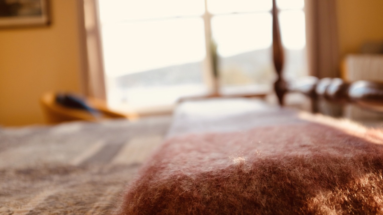 Photo of Bedroom in Bay Bulls