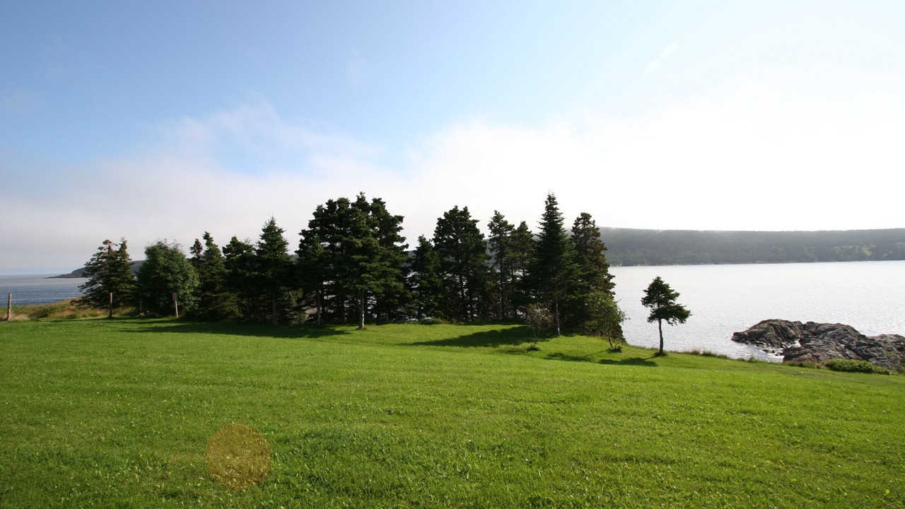 Photo of Outdoor in Bay Bulls