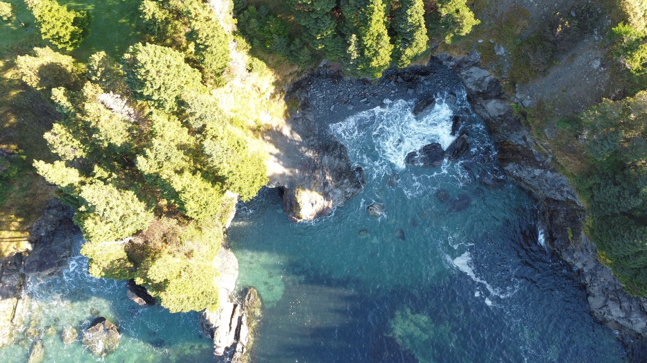 Photo of Others in Bay Bulls