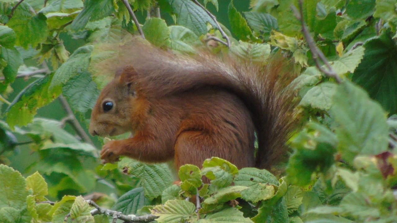 Photo of Others in Wassy