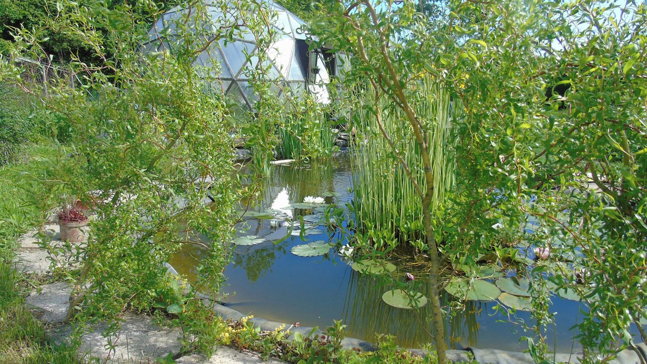 Photo of Outdoor in Wassy