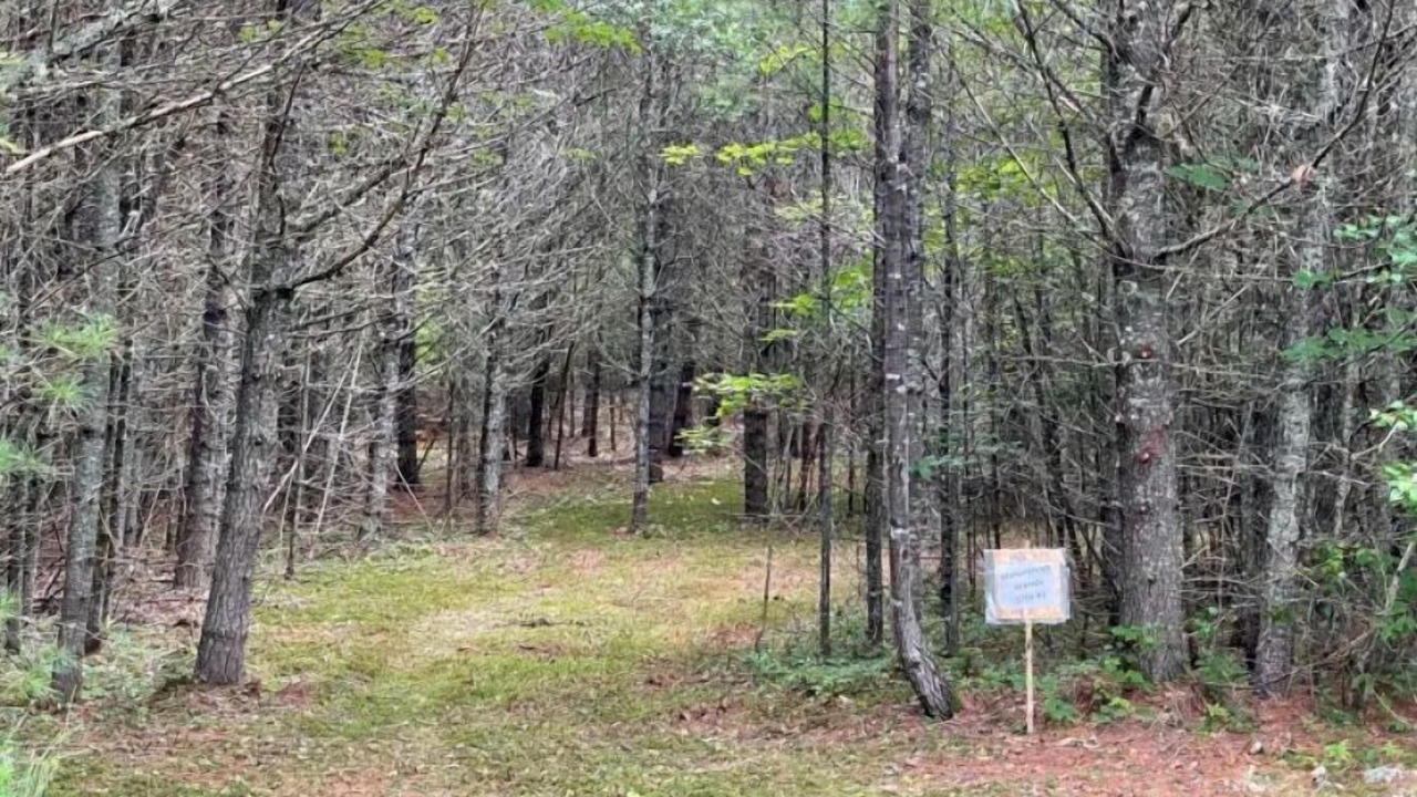 Photo of Others in Limerick