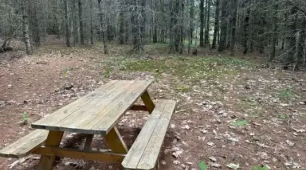 Photo of Outdoor in Limerick