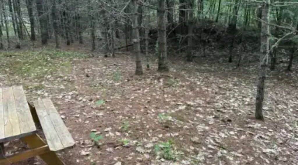 Photo of Outdoor in Limerick