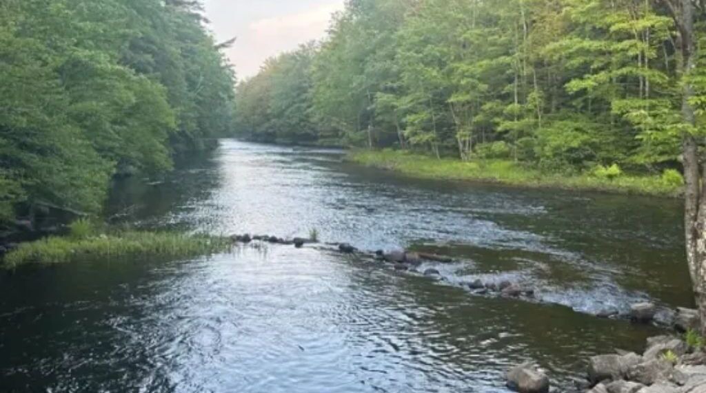 Photo of Outdoor in Limerick