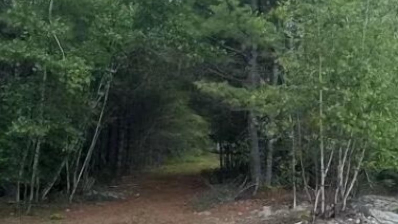 Photo of Outdoor in Limerick