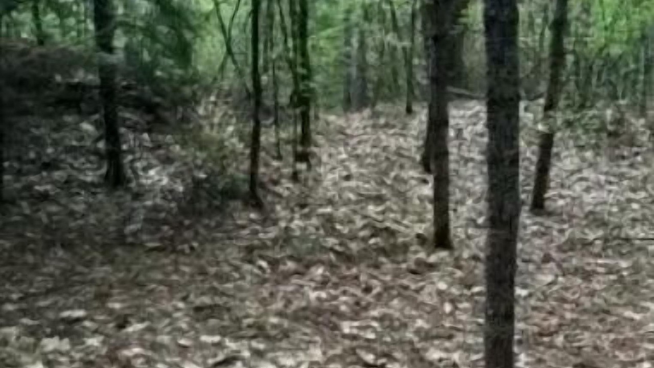 Photo of Others in Limerick