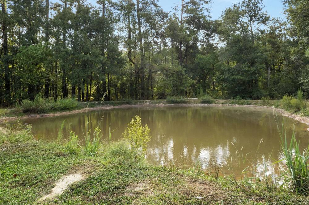 Photo of Outdoor in DeRidder