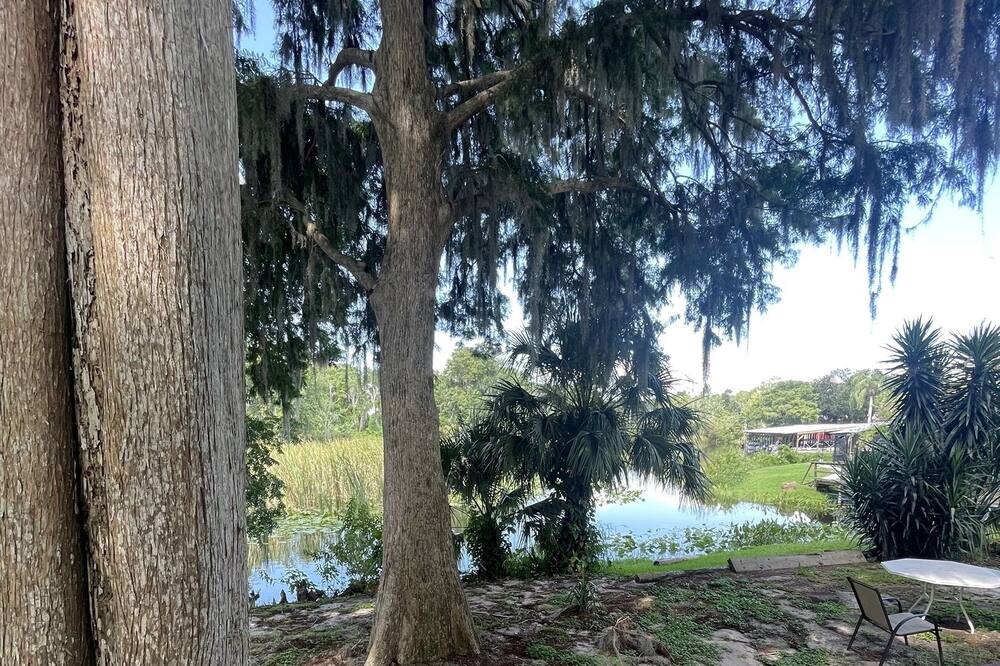 Photo of Outdoor in Leesburg