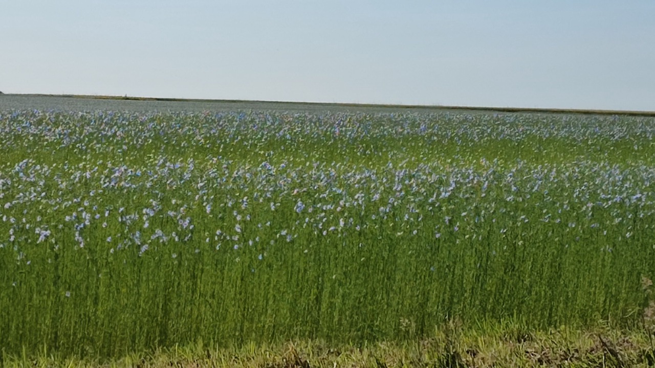 Photo of Outdoor in Fultot