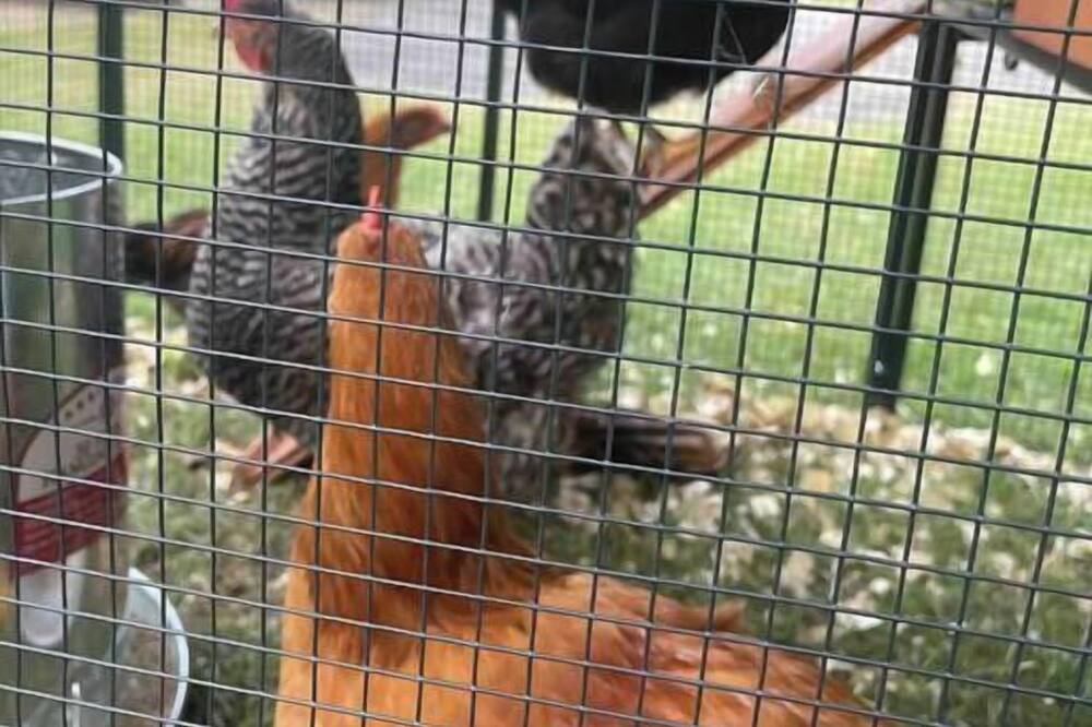 Photo of Others in Chesapeake Ranch Estates-Drum Point