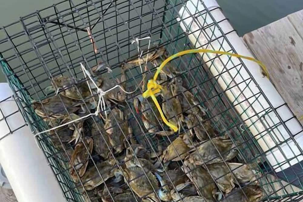 Photo of Others in Chesapeake Ranch Estates-Drum Point