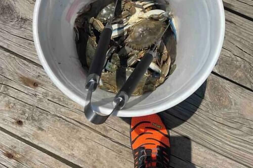 Photo of Others in Chesapeake Ranch Estates-Drum Point