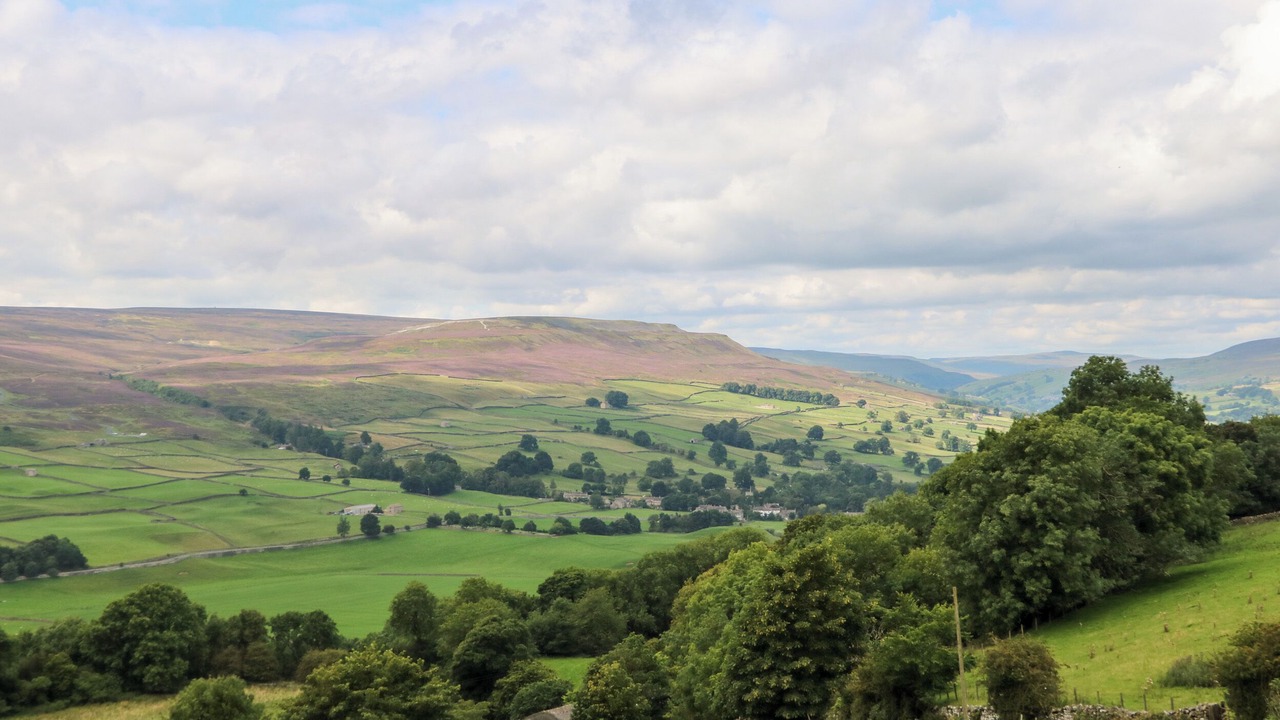 Photo of Others in Fremington