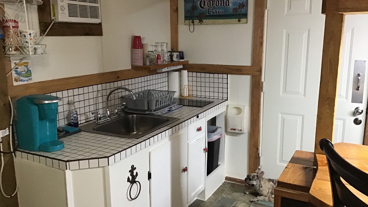 Photo of Kitchen in Clifton
