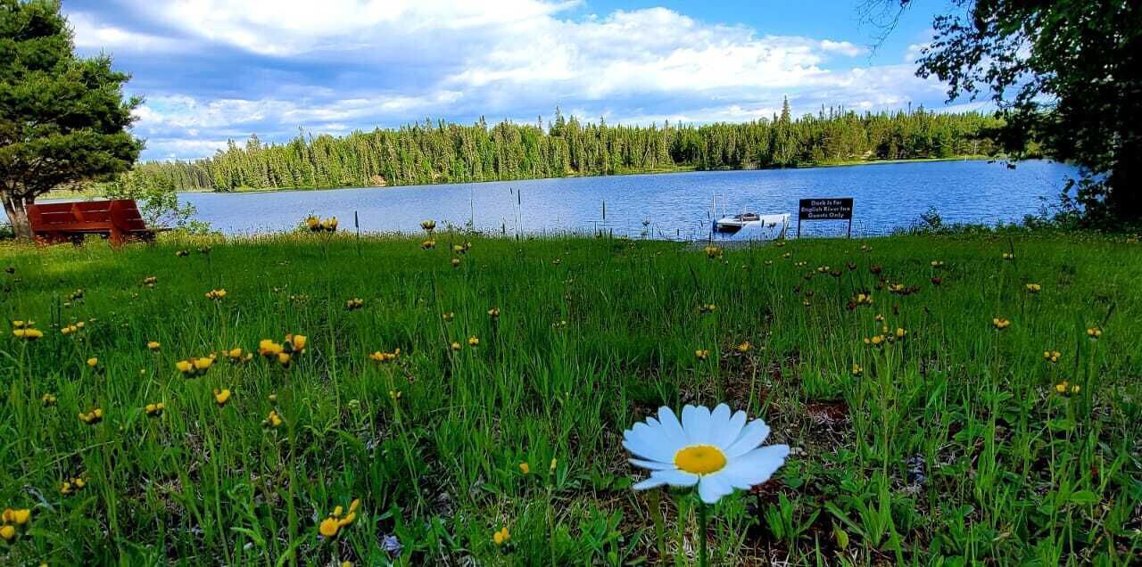 Photo of Outdoor in Englis River