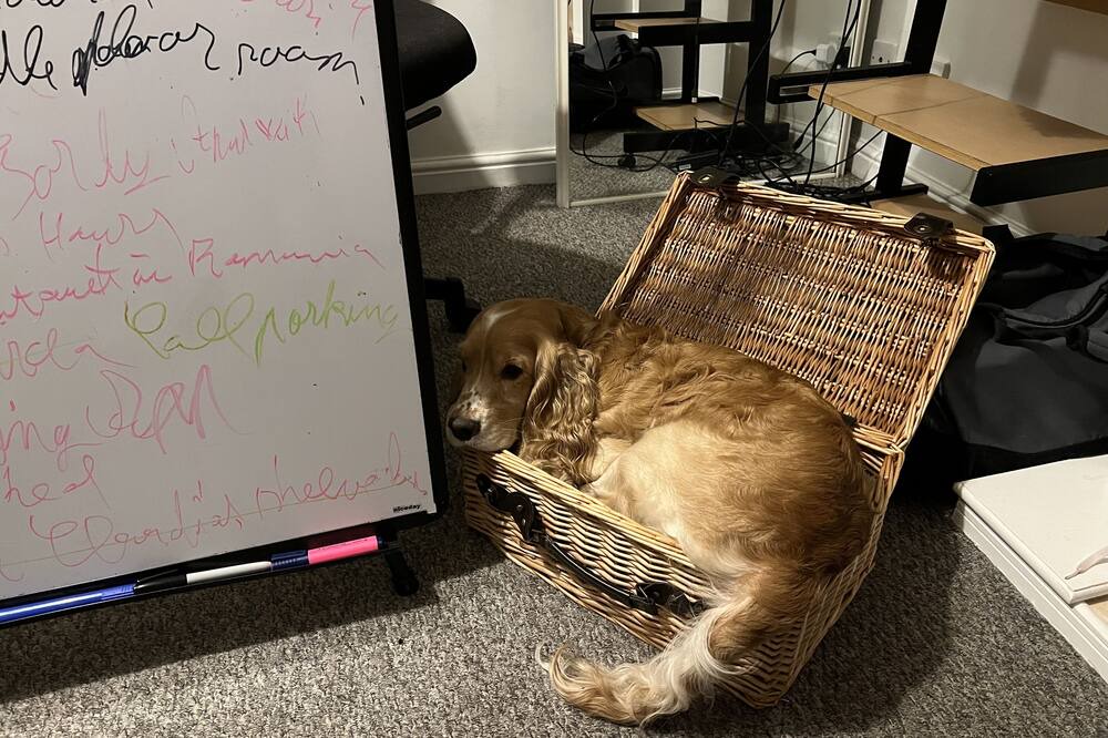 Photo of Livingroom in Preston